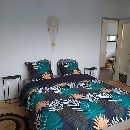 Apartament Vue Sur Chateau De Lourdes